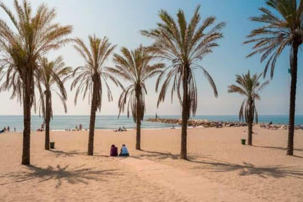Sitio de CalahondaAlgaida Beachfront - Seaview Studio Costa Del Sol公寓 外观 照片